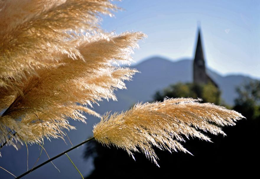 Tollhof Villa Bolzano Bagian luar foto